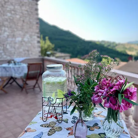 Ca Bruno Del Leccino